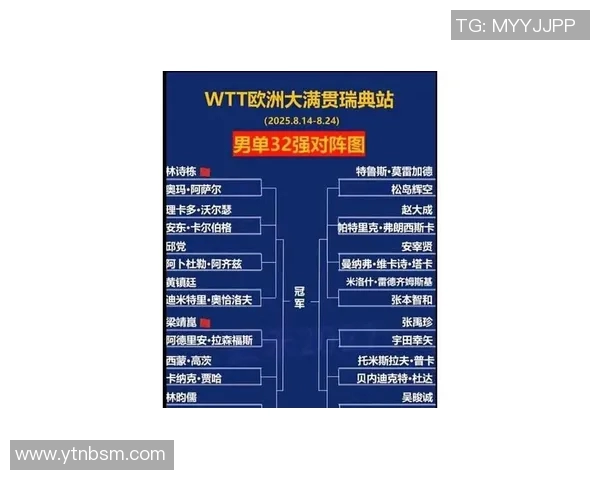 篮球明星受欢迎程度的影响因素与球迷互动分析